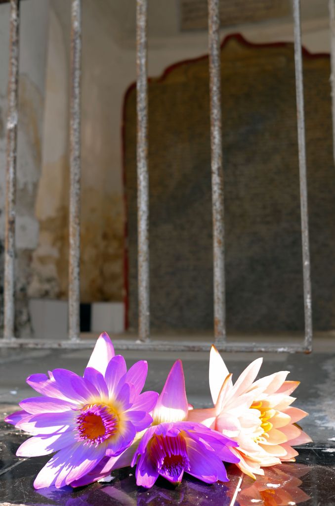 Flower offerings at Kuthodaw Pagoda in Myanmar