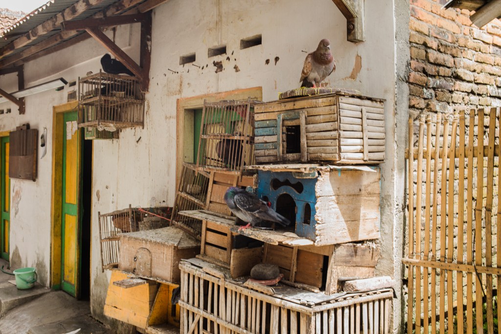 Indonesia: Wooden Bird&nbsp;Cages