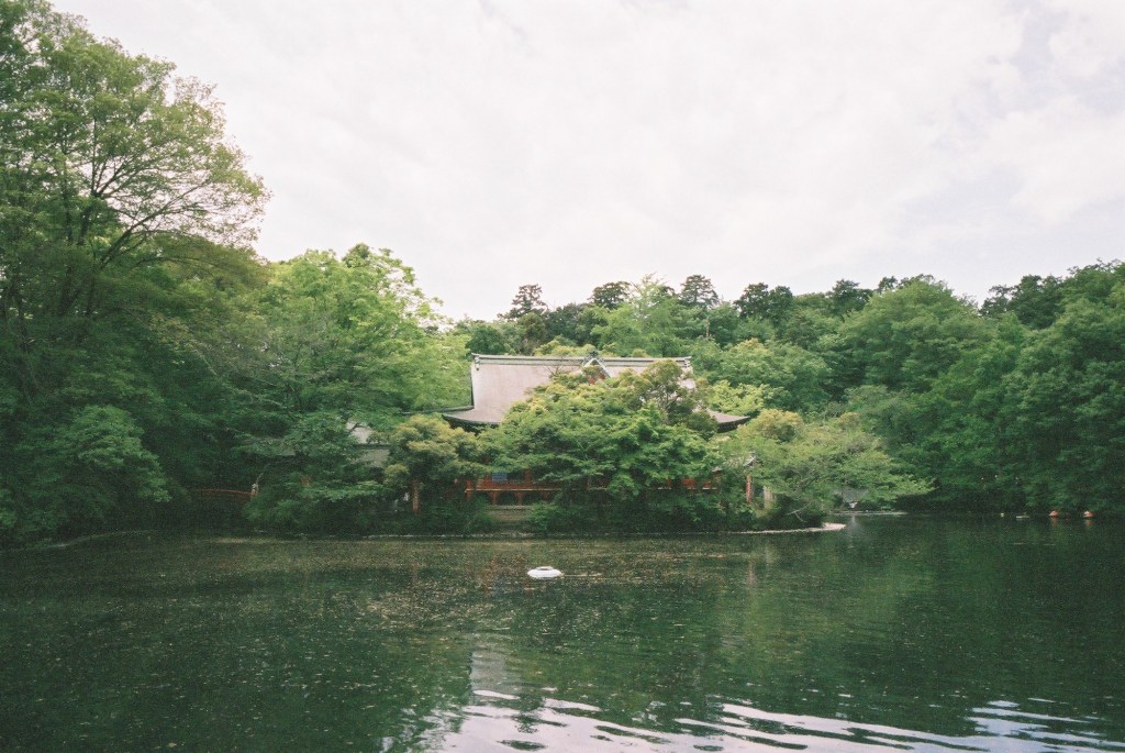 This is Kichijoji park. The image was taken in the summer time with a point-and-shoot film camera.