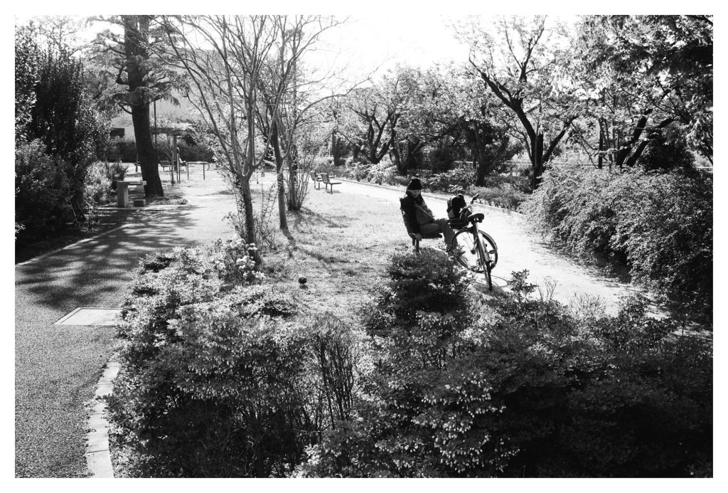 Japan: A Park near&nbsp;Fujimigaoka